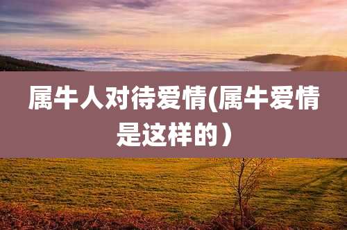 属牛人对待爱情(属牛爱情是这样的）