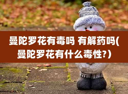 曼陀罗花有毒吗 有解药吗(曼陀罗花有什么毒性?）