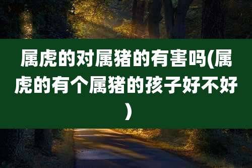 属虎的对属猪的有害吗(属虎的有个属猪的孩子好不好）