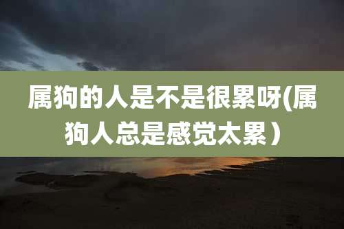 属狗的人是不是很累呀(属狗人总是感觉太累）