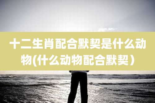 十二生肖配合默契是什么动物(什么动物配合默契）