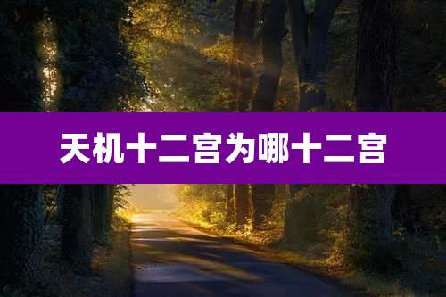 天机十二宫为哪十二宫