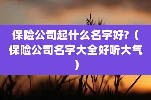 保险公司起什么名字好?(保险公司名字大全好听大气)
