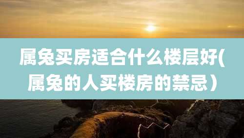 属兔买房适合什么楼层好(属兔的人买楼房的禁忌)