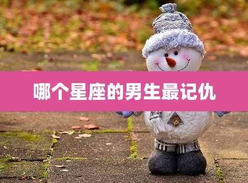哪个星座的男生最记仇