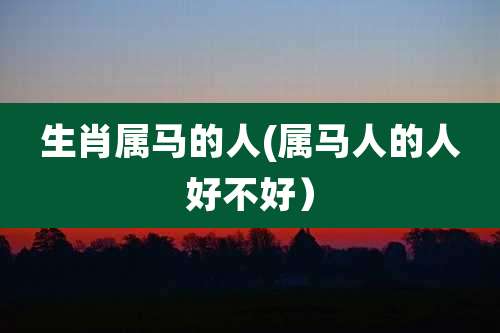生肖属马的人(属马人的人好不好)
