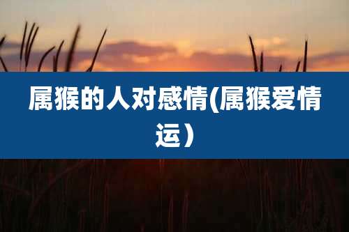 属猴的人对感情(属猴爱情运)