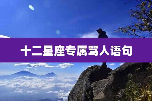 十二星座专属骂人语句