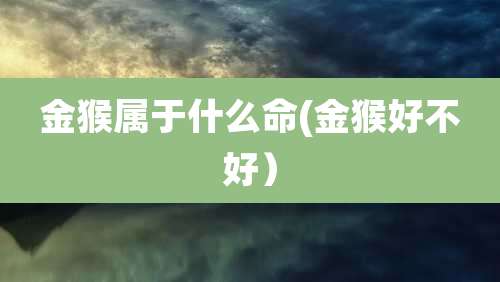 金猴属于什么命(金猴好不好)