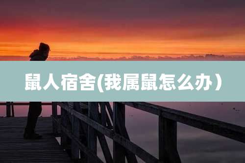 鼠人宿舍(我属鼠怎么办)