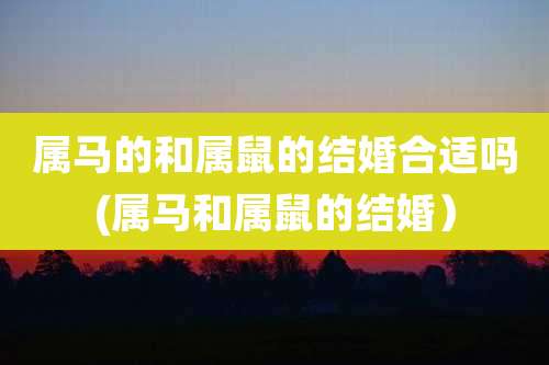 属马的和属鼠的结婚合适吗(属马和属鼠的结婚)
