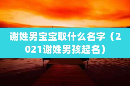 谢姓男宝宝取什么名字(2021谢姓男孩起名)