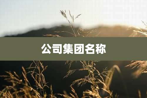 公司集团名称