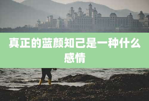 真正的蓝颜知己是一种什么感情