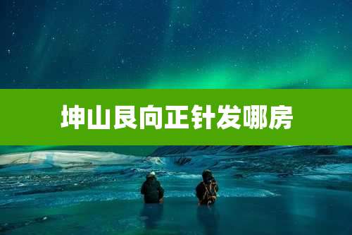 坤山艮向正针发哪房