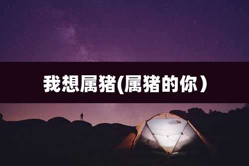 我想属猪(属猪的你）