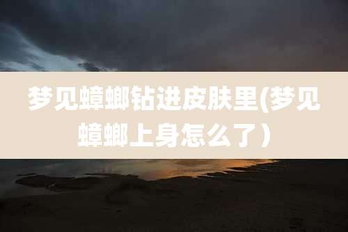 梦见蟑螂钻进皮肤里(梦见蟑螂上身怎么了)