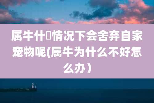 属牛什麼情况下会舍弃自家宠物呢(属牛为什么不好怎么办)