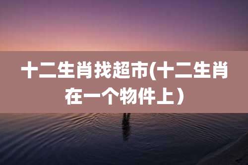 十二生肖找超市(十二生肖在一个物件上）