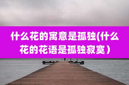 什么花的寓意是孤独(什么花的花语是孤独寂寞）