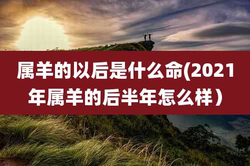 属羊的以后是什么命(2021年属羊的后半年怎么样）
