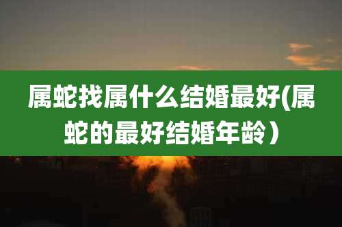 属蛇找属什么结婚最好(属蛇的最好结婚年龄)