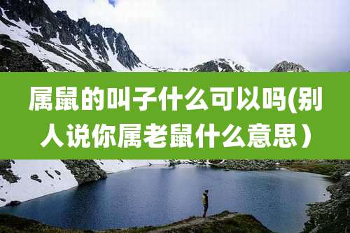 属鼠的叫子什么可以吗(别人说你属老鼠什么意思)