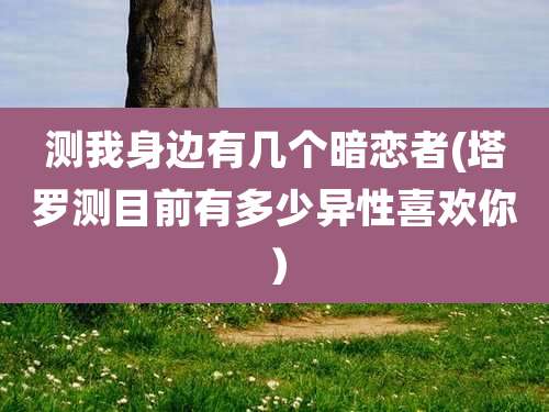 测我身边有几个暗恋者(塔罗测目前有多少异性喜欢你)