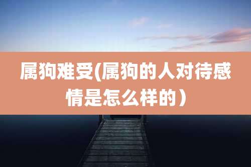 属狗难受(属狗的人对待感情是怎么样的)