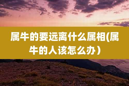 属牛的要远离什么属相(属牛的人该怎么办)
