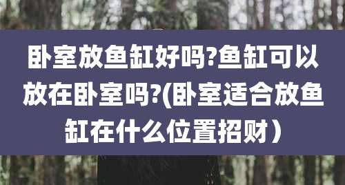 卧室放鱼缸好吗?鱼缸可以放在卧室吗?(卧室适合放鱼缸在什么位置招财)