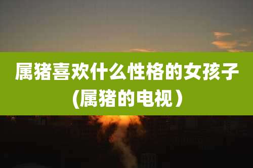 属猪喜欢什么性格的女孩子(属猪的电视）