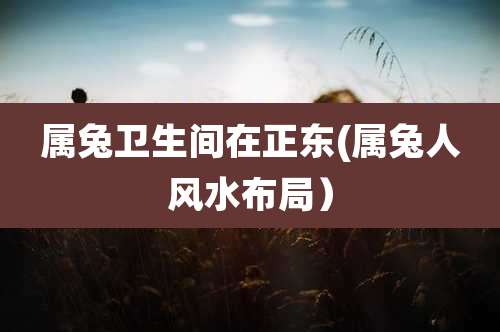 属兔卫生间在正东(属兔人风水布局）