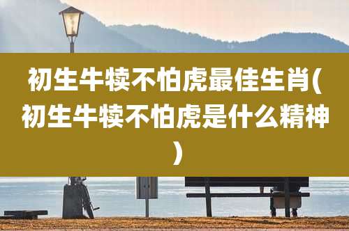 初生牛犊不怕虎最佳生肖(初生牛犊不怕虎是什么精神)