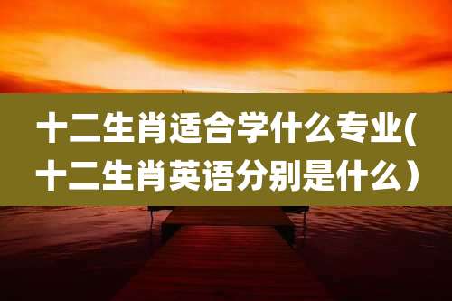 十二生肖适合学什么专业(十二生肖英语分别是什么）