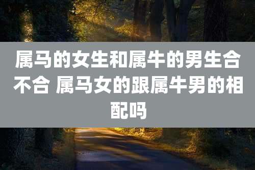 属马的女生和属牛的男生合不合 属马女的跟属牛男的相配吗