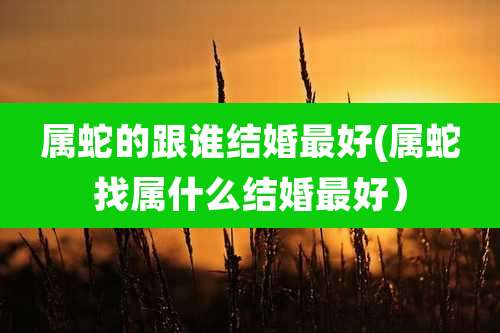 属蛇的跟谁结婚最好(属蛇找属什么结婚最好）
