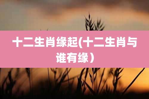 十二生肖缘起(十二生肖与谁有缘)