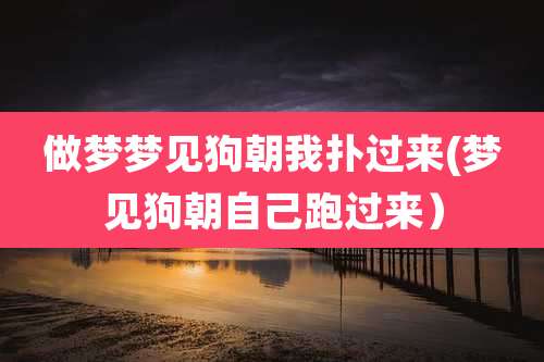 做梦梦见狗朝我扑过来(梦见狗朝自己跑过来）
