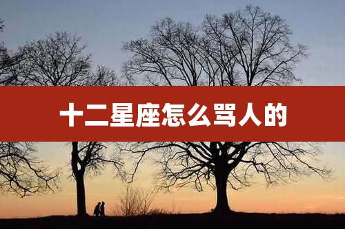 十二星座怎么骂人的
