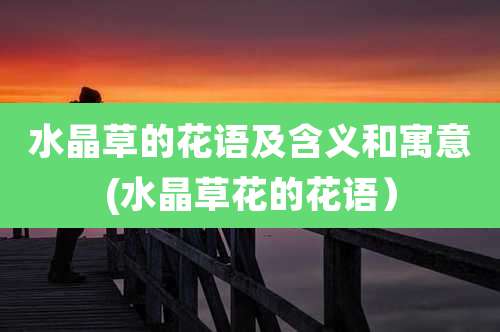 水晶草的花语及含义和寓意(水晶草花的花语)