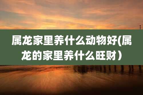 属龙家里养什么动物好(属龙的家里养什么旺财)