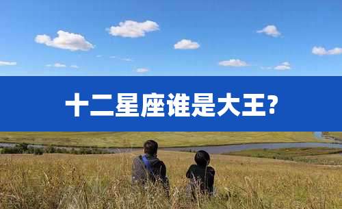 十二星座谁是大王?