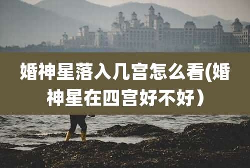 婚神星落入几宫怎么看(婚神星在四宫好不好)