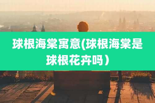 球根海棠寓意(球根海棠是球根花卉吗)