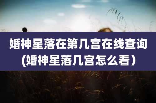 婚神星落在第几宫在线查询(婚神星落几宫怎么看)