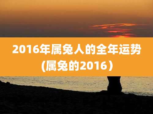 2016年属兔人的全年运势(属兔的2016)