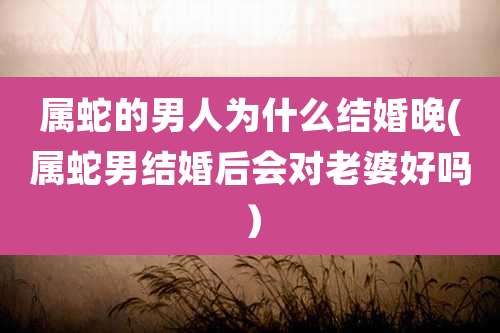 属蛇的男人为什么结婚晚(属蛇男结婚后会对老婆好吗)