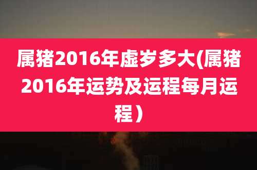 属猪2016年虚岁多大(属猪2016年运势及运程每月运程)