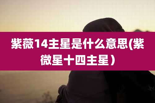 紫薇14主星是什么意思(紫微星十四主星)